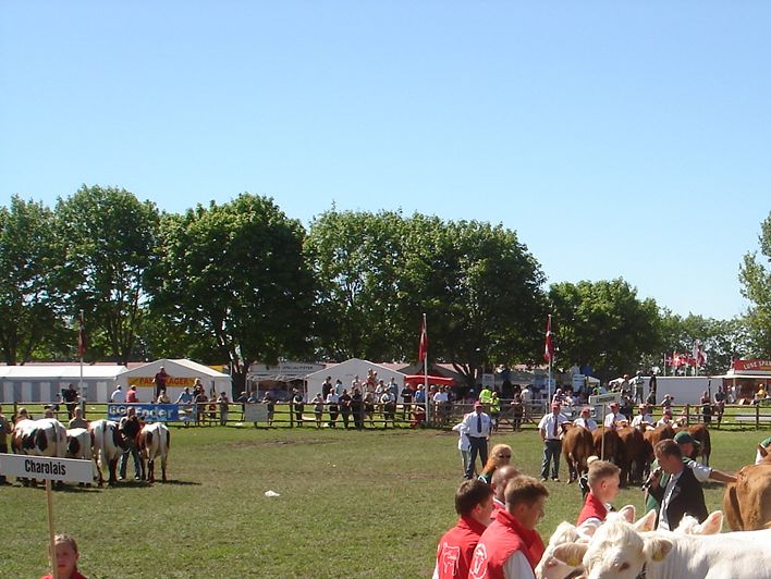 Vinder af Inter Breed Besætningsgruppen på Roskilde Dyrskue 2011